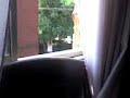 La Flaca Cortando las ramas que le molestan