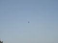 OH58D Kiowa Warrior gunnery OH58D Kiowa Warrior gunnery
