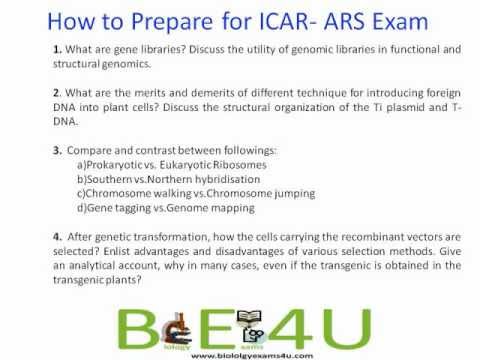 how to prepare for net exam
