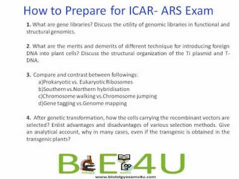 how to prepare for net exam