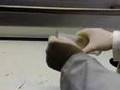 Ethene Gas + Flame
