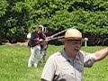 Colonial Regulars Muskets