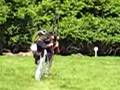 Colonial Regulars Muskets