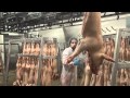 JB VIANDE