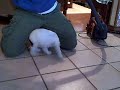 Rosee Battles The Vacuum