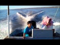 El Golfo De Santa Clara: Expedition, into the Delta, in the Nereida III