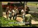 Susto, www,shelotes.com
