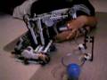 Chantel's Robot 