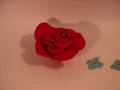 videos de STOP MOTION FLOR