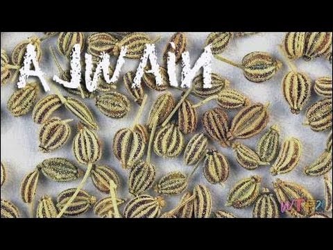 how to grow ajwain seeds
