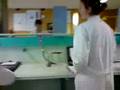 videos de scheikunde; heel nuttig