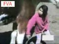 Girl harasses horse, horse owns girl - animals, girl, horse, idiot, owned, stupid, funny