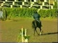 tamanaco alcazar 2