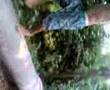 trip sa makiling