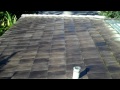 Pressure Washing Maintenance 1- Coral Gables, FL- Istueta Roofing