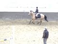 Saut Kerrison