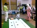 Robotech 2008 Pt II