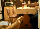 le bouffeur!