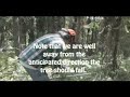Wilderness Living: Chain saw stuck in tree you are trying to Wilderness Living: Chain saw stuck in tree you are trying to