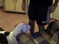 Bulldog Americano video