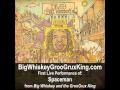 Big Whiskey and the GrooGrux King Track: Spaceman