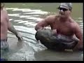 funny noodling redneck fishing catfishing