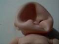 videos de Subliminal Messages!!