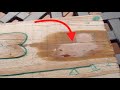 How To Stain A Deck With Water Based Stain