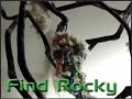 Find Rocky Find Rocky