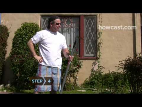 how to replant grass