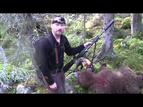 Svensk Björnjakt NR 4 TRAILER