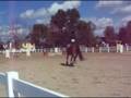 videos de Oct. 4th, 2008 Horse Show