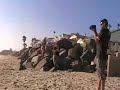 Sea Lion Meets Oceanside