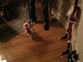 Taco and Santa Taco and Santa