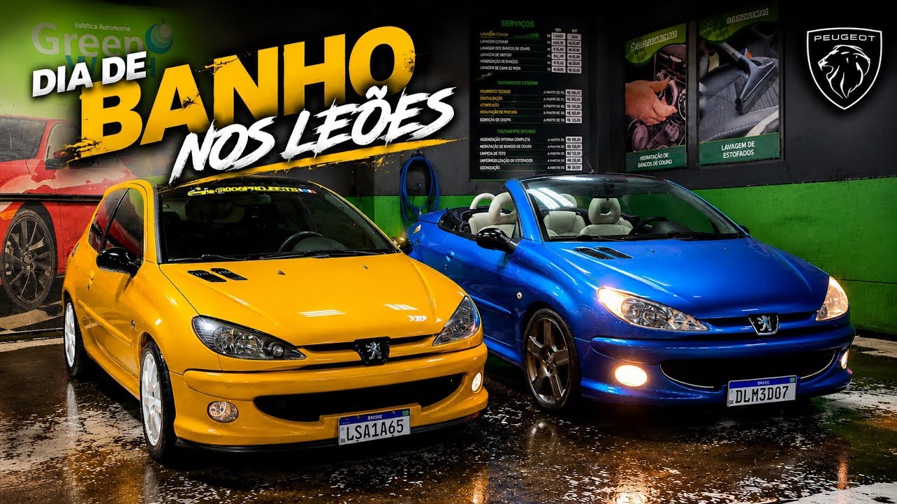 LEVEI OS LEÕES PRO BANHO! 🦁🧼