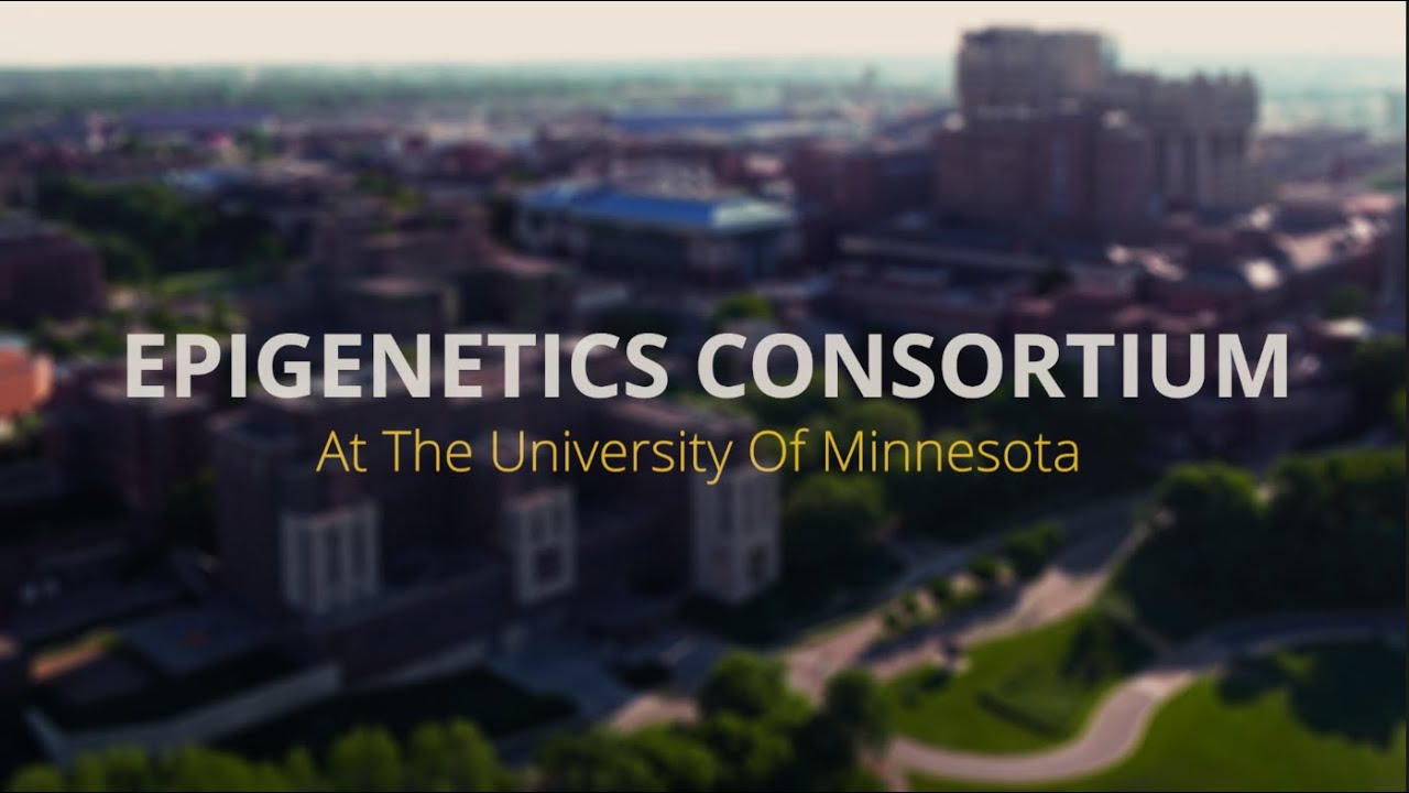 Epigenetics Consortium at UMN