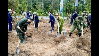 Thành phố Uông Bí: phát động “Tết trồng cây đời đời nhớ ơn Bác Hồ” xuân Nhâm Dần 2022