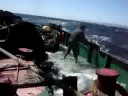 videos de orka