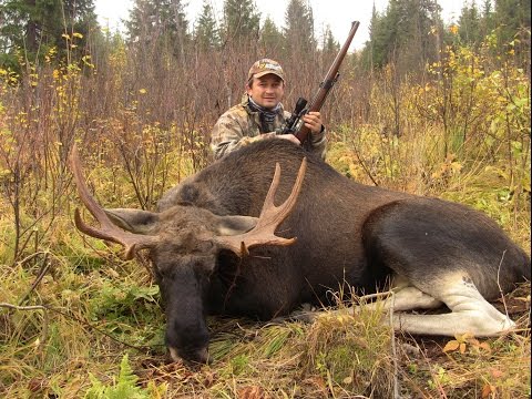 Elk hunt during the rut 2014, film 1