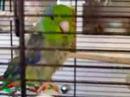Meet Brockley