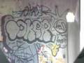 toker dmp
