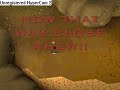 this is a video i mae because i had all sorts of people contacting my email about making a second one so i did ^^ thank you all who supported me and gave me positive feedback i hope u enjoy