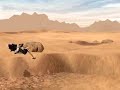 The Sandman (Star Wars Galaxies video) The Sandman (Star Wars Galaxies video)