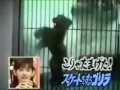 223. Dancing gorilla - BestofYouTube.com