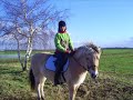 Mazzel