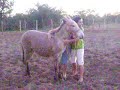 Rodeio na Mula!!! Hhauaau