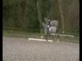 videos de 27.11.08 Solihull Riding Club P12 Dressage test