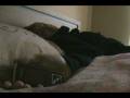 Ludivine madness.avi