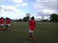 Los espinillos 08