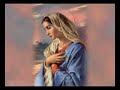 Immacolata Concezione Immacolata Concezione